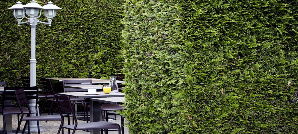 Campanile Grenoble Nord - Saint-Egreve Hotel Restaurant foto